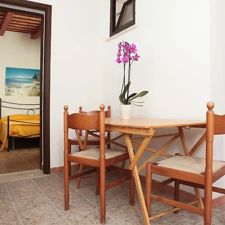 Lion Apartamento